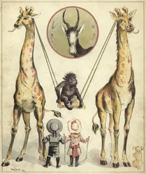 Giraffer leger med abe (chromolitho)